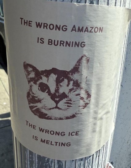 "lost cat" picture of a one-eyed cat on a post
The Wrong Amazon is Burning
The Wrong Ice is Melting