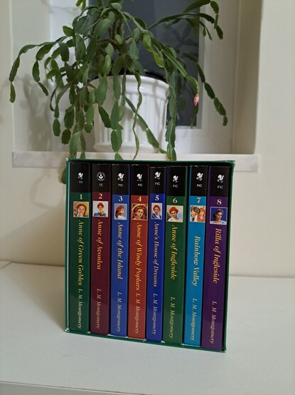 A set of the Anne of Green Gables books in a card box, close to a window with a vase with a Schlumbergera.