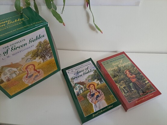 Two books - Anne of Green Gables, Anne of Windy Poplars, - and the back of a book box depicting Anne.