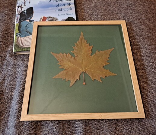A leaf in a frame and a book
