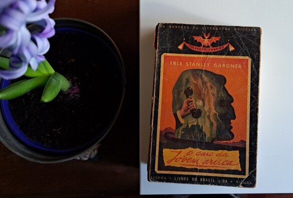 Um livro e um vaso com uma planta
