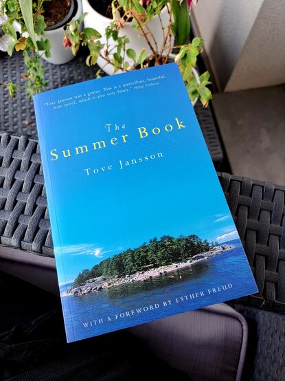 A book with a cover with blue sky, an island, and blue sea over an arm of a grey chair with some green plants in a table near by