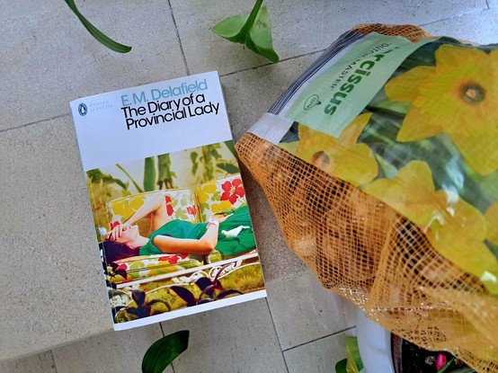 The book "The diary of a provincial lady" by E. M. Delafied next to a bag of yellow daffodils on the floor.
