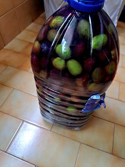 A 6 litre water bottle filled with olives