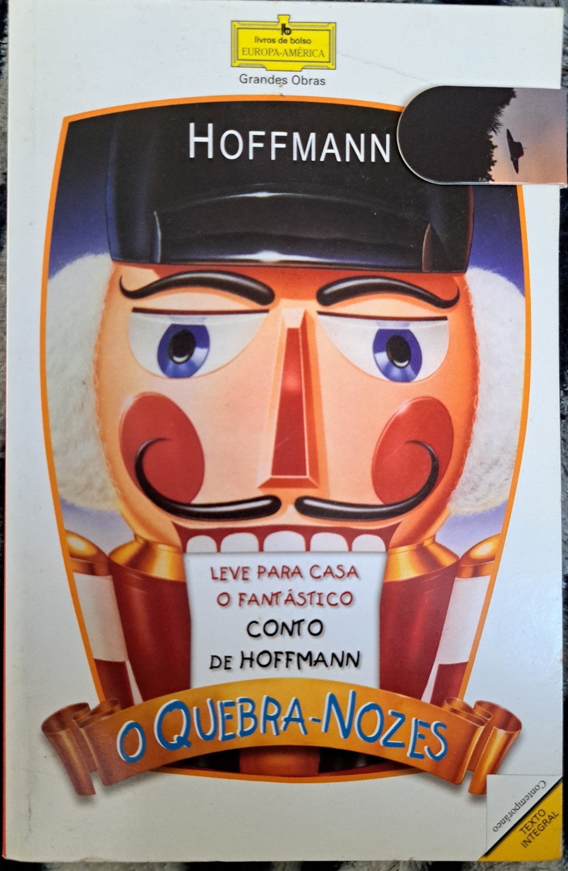 A picture of the book in paper format (but a Portuguese edition)