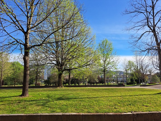 Um jardim com árvores num dia de sol no Campus da Universidade do Minho em Braga