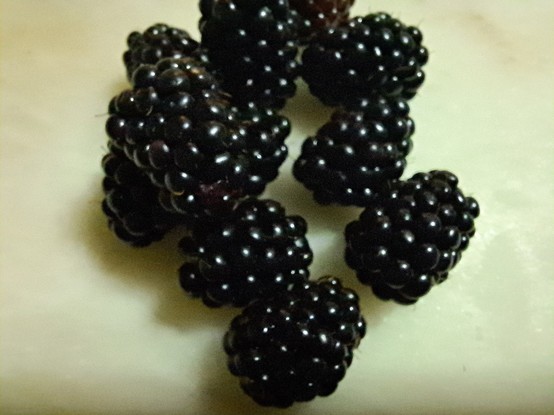 Ten blackberries on a white yellowish marble table