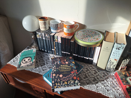 Several books in different positions over a table with the sunlight over them