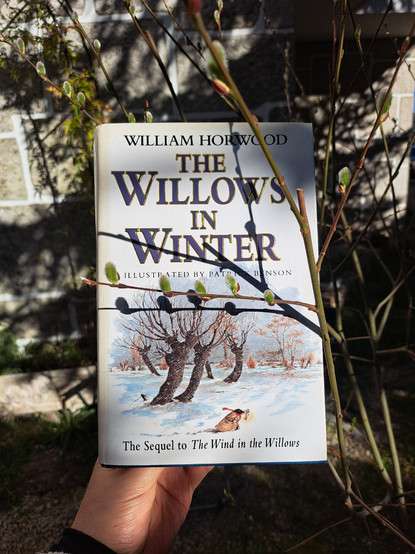 A hand holding the book The Willows in Winter between the branches of what it seems a kind of willow with its flowers but not with leaves yet