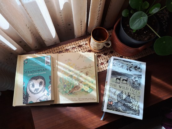 Three books over a table next to a cup and a plant