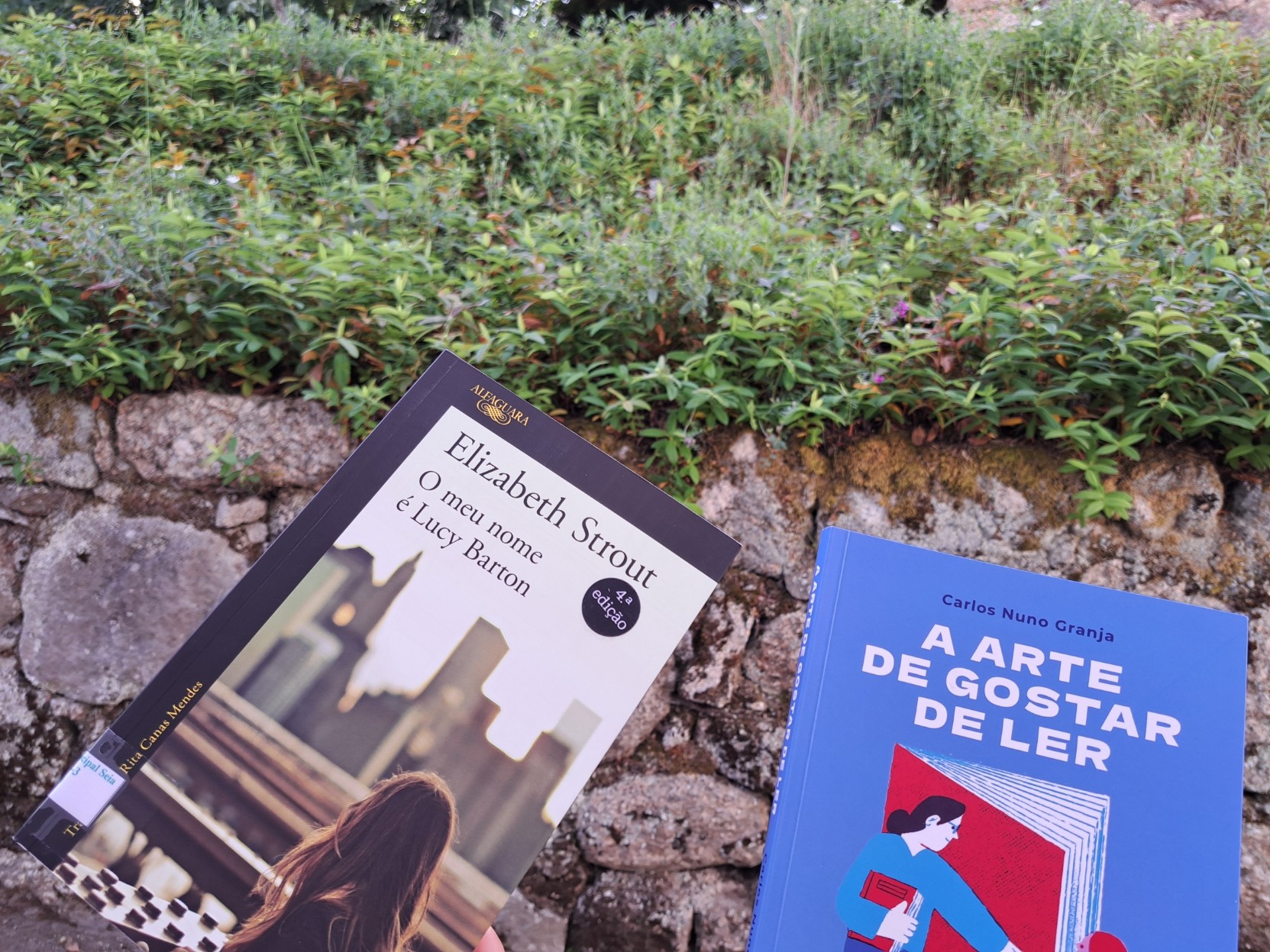 Dois livroa a serem segurados num jardim: &ldquo;O meu nome é Lucy Barton&rdquo; de Elizabeth Strout, e &ldquo;A Arte de Gostar de Ler&rdquo; de Carlos Nuno Granja.