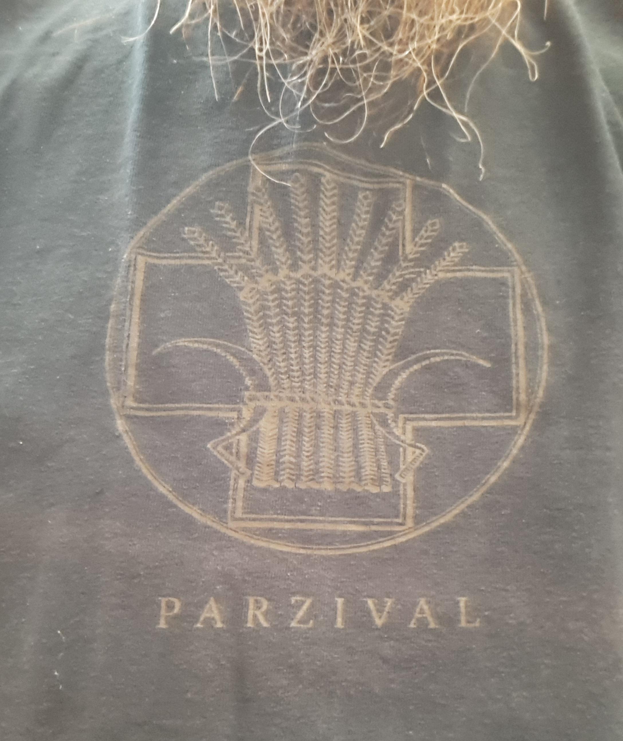 After a weekly shirt with Leiria's castle, a shirt bought on that castle: a t-shirt from the band Parzival, bought after the excellent concert they gave there...